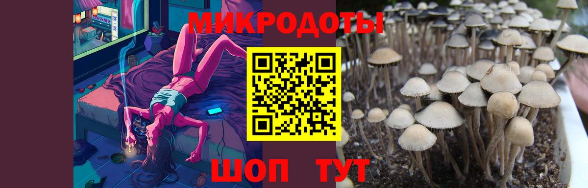 Псилоцибиновые грибы Cubensis  Псилоцибиновые грибы Psilocybine cubensis  Орск  где найти   Вход с VPN 